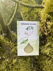 Všemocná manuka